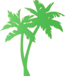 palme palme