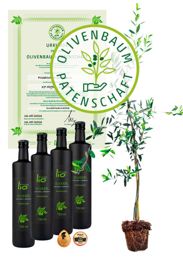 Olivenbaum-Patenschaft